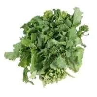 Broccoli Rabe