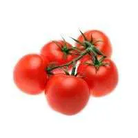 Campari Tomatoes