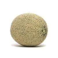 Cantaloupe