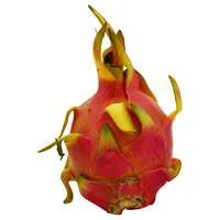 Dragon Fruit