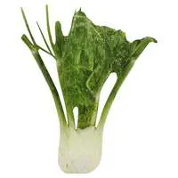 Fennel (Anise)