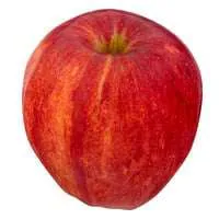Gala Apples