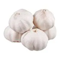 Garlic Bulb - 5 ct