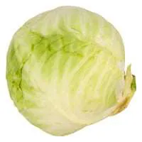 Green Cabbage