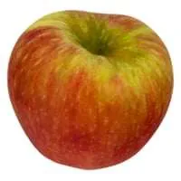 Honeycrisp Apples