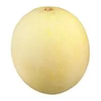 Honeydew Melon