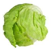 Iceberg Lettuce