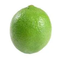 Limes