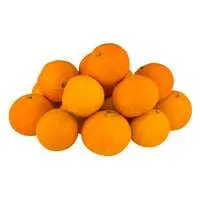 Mandarin Oranges Bag