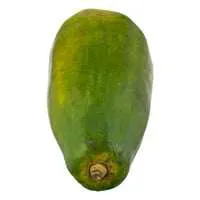 Maradol Papaya