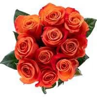 Orange Roses Bunch
