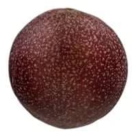 Passion Fruit