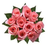 Pink Roses Bunch
