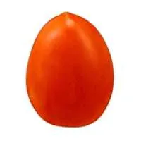 Plum Roma Tomatoes