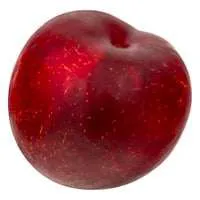 Red Plums