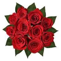 Red Roses Bunch