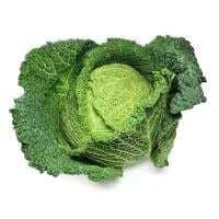 Savoy Cabbage