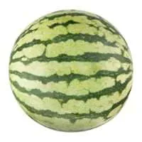 Seedless Mini Watermelon