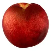 White Flesh Nectarines