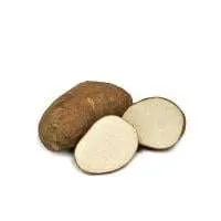 White Name Root