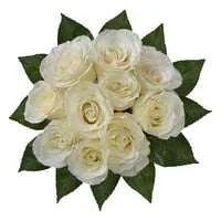 White Roses Bunch