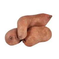White Sweet Potatoes