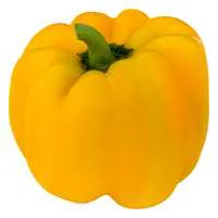 Yellow Bell Peppers