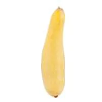 Yellow Squash