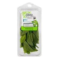 Nature's Promise Organic Mint Fresh