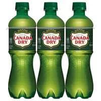 Canada Dry Ginger Ale Soda CaƯeine Free - 6 pk