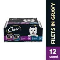 CESAR Filets in Gravy Mignon/NY Strip Variety Adult Wet Dog Food - 12 ct