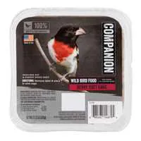 Companion Berry Suet Cake Wild Bird Food