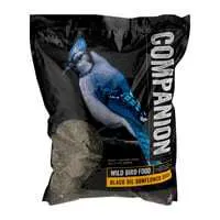 Companion Black Oil Sunflower Seeds Wild Bird Food