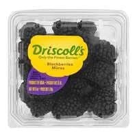 Driscoll's Blackberries