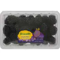 Driscoll's Sweetest Batch Blackberries