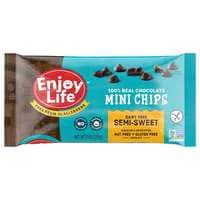 Enjoy Life Dairy Free Vegan Semi-Sweet Real Chocolate Mini Chips