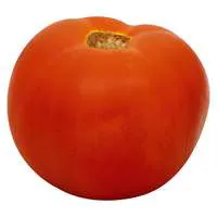 Extra Large Vine Ripe Tomatoes
