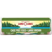 Land O Lakes Cage Free Large Brown Eggs