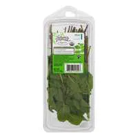 Nature's Promise Organic Mint Fresh