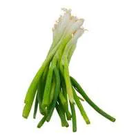 Organic Green Onions (Scallions)