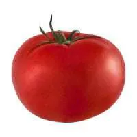 Organic Hot House Tomatoes