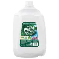 Poland Spring 100% Natural Spring Water