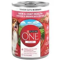 Purina ONE +Plus Skin & Coat Health Chicken/Brown Rice Adult Wet Dog Food