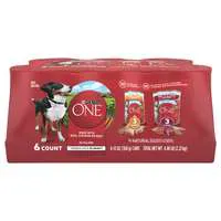 Purina ONE Tender Cuts in Gravy Variety Pack Adult Wet Dog Food - 6 ct