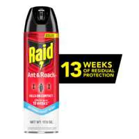 Raid Ant & Roach Killer Spray Aerosol Outdoor Fresh Scent