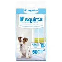 RuƯin' It Lil' Squirts Training Pads 21 x 22 Inch