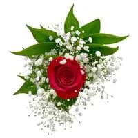 Single Majestic Rose Bouquet