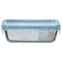 SNAPWARE Total Solution Lids Storage Container Glass Rectangle 2 Cups