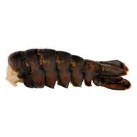 Stop & Shop Lobster Tail